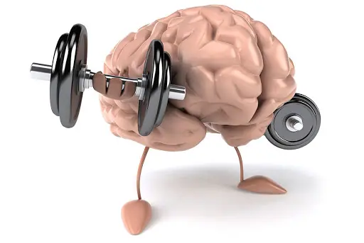 A Importância dos Exercícios Físicos na Saúde Cerebral A Importância dos Exercícios Físicos na Saúde Cerebral